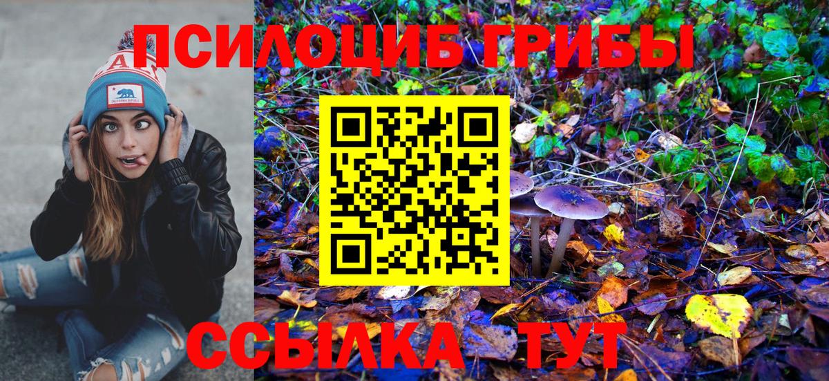 Белореченск  Галлюциногенные грибы Cubensis  Вход с VPN 